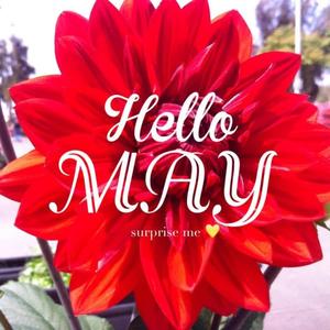 Embrace May in all its beauty may wallpaper