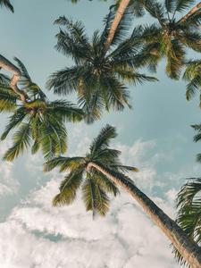 Embrace summer moments with a vibrant, colorful aesthetic. summer aesthetic wallpaper
