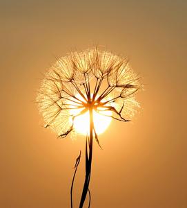 Embrace the beauty of change whatsapp wallpaper