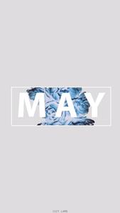 Embrace the beauty of May with these fragrant blue flowers. may wallpaper
