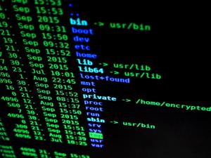 Embrace the power of hacking hacker wallpaper