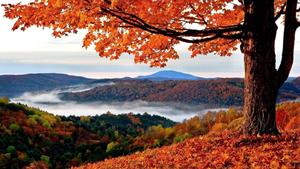 Embrace the Season of Change fall wallpaper