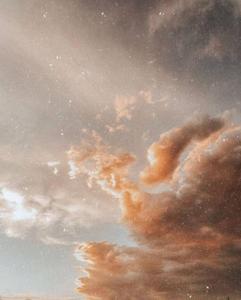 "Embrace your wild spirit and let your soul roam free. instagram pfp wallpaper