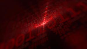 Embracing the Matrix Reality matrix wallpaper