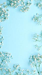 Enchanting Floral Blossom Phone Background pretty phone wallpaper