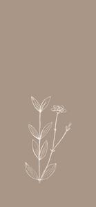 Enchanting Forest Scene Phone Background pretty phone wallpaper