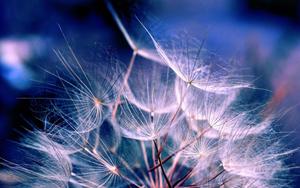Enjoy a beautiful reading experience with your Aesthetic Ipad aesthetic ipad wallpaper