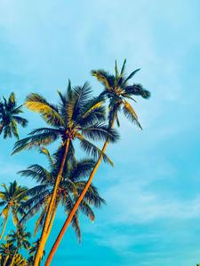 Enjoy a day on the beach! summer wallpaper