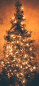 Enjoy a Magical Holiday Season with this Christmas Themed iPhone Wallpaper christmas iphone wallpaper