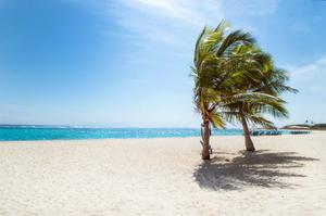 Enjoy a morning of relaxation and reflection at the beautiful tropical beach. beach wallpaper