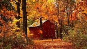 Enjoy a peaceful autumn weekend escape in a cozy cabin in the woods. fall wallpaper