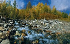 Enjoy a relaxing summer day by the river! summer wallpaper