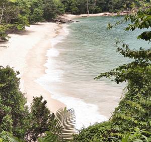 Enjoy an Exotic Beach Coast beach wallpaper