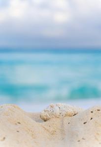 Enjoy Beach Life to the Fullest beach wallpaper