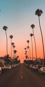 Enjoy every moment of summer and make some family memories. Wallpaper
