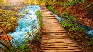 Enjoy life in crystal clear HD 1080p wallpaper