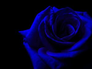 Enjoy peaceful moments and appreciate the little things blue aesthetic wallpaper