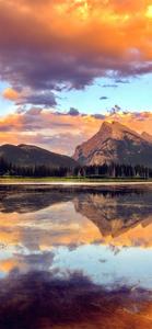 Enjoy summer anywhere with the new iPhone summer iphone wallpaper