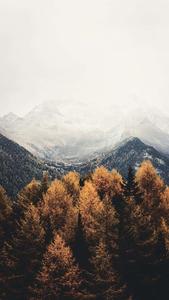 Enjoy the beautiful colors of Fall with your Iphone fall iphone wallpaper