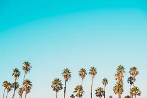 Enjoy the beauty of a summer day summer aesthetic wallpaper