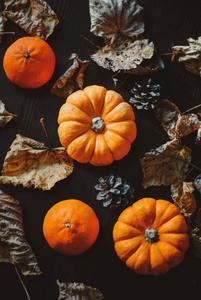 Enjoy the beauty of fall with an Iphone fall iphone wallpaper