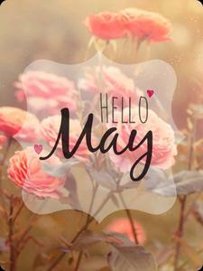Enjoy the beauty of May may wallpaper