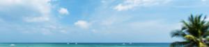 Enjoy the beauty of nature 4k nature wallpaper