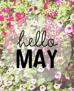 Enjoy the beauty of Spring blooms in May may wallpaper