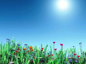 Enjoy the beauty of the season with a Spring Desktop spring desktop wallpaper