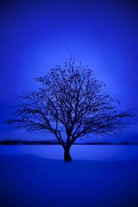 Enjoy the beauty of this blue aesthetic scene. blue aesthetic wallpaper