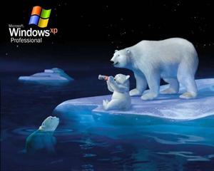 Enjoy the beauty of Windows XP windows xp wallpaper