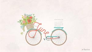 Enjoy The Best Of Summer On Bicycle june wallpaper