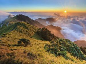 Enjoy the Bliss of Nature at the Heathland Wallpaper