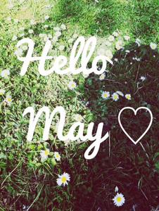 Enjoy the blossom of spring in May may wallpaper