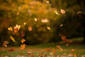 Enjoy the Changing of the Season during a Fall Hike fall wallpaper