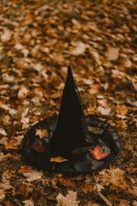 Enjoy the crisp autumn season with this pristine Fall iPhone background. Wallpaper