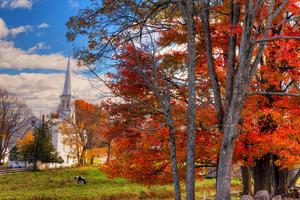 Enjoy the magical autumnal colors in nature. fall wallpaper
