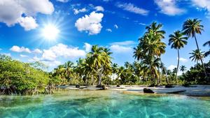 Enjoy the peaceful paradise, take a sunny dip in the crystal waters of Mangrove and Coconut Beach. beach wallpaper