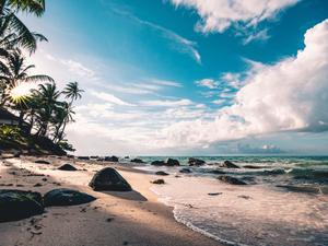 Enjoy The Perfect Beach Day beach wallpaper