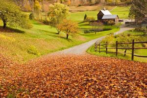 Enjoy the scenic beauty of fall fall wallpaper