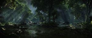 Enjoy the serene beauty of a forest on the dual monitor setup 8k wallpaper