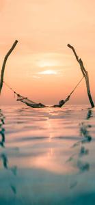 Enjoy the Serenity of Nature Anywhere You Go calming iphone wallpaper