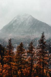 Enjoy the tranquility of nature this Fall. fall wallpaper