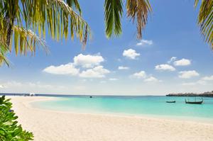 Enjoy the tranquility of the beach beach wallpaper