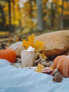 Enjoy the vibrant colors of Fall fall aesthetic wallpaper