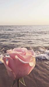 Enjoy the vibrant colors of summer! summer wallpaper