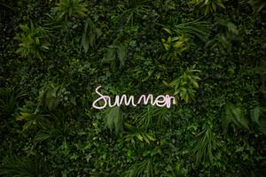 Enjoy this Summer! summer wallpaper