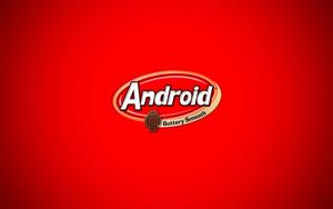 Enjoying a KitKat on Your Favorite Android Device android wallpaper