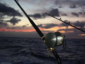 Enjoying a Quiet Moment of Fishing at Sunset fishing wallpaper