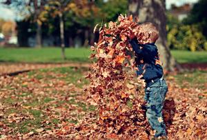 Enjoying Fall's Colorful Beauty fall wallpaper